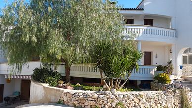 Salento - graziosa tavernetta per vacanze estive