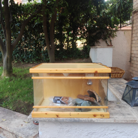 Teca in legno e vetro per draghi o piccoli rettili