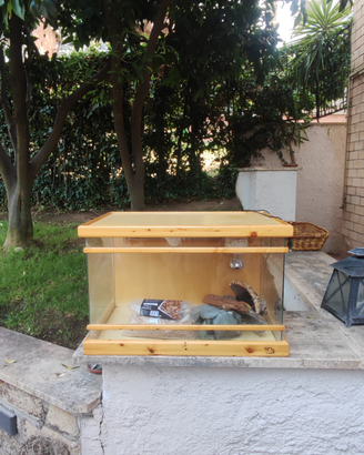 Teca in legno e vetro per draghi o piccoli rettili