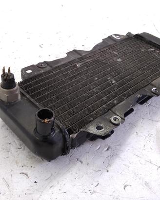 HONDA CN SPAZIO 250 RADIATORE 1998 JH2MF02A
