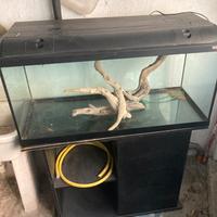 Acquario askoll ambiente 180