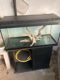 Acquario askoll ambiente 180