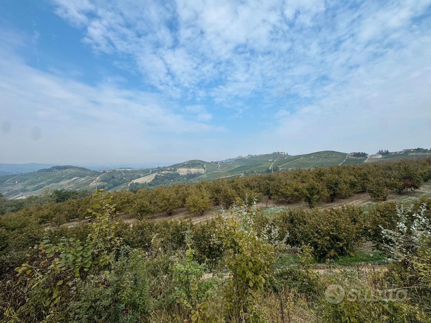Terreno Agricolo 15000mq - Altro