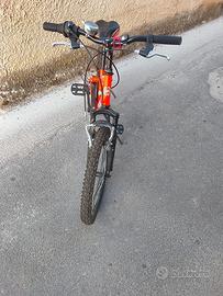 Bicicletta Coppi