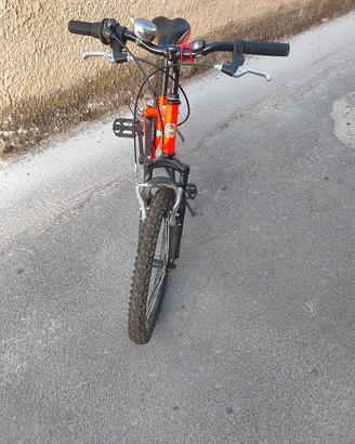 Bicicletta Coppi