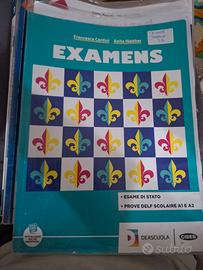 Libro Francese EXAMENS – DELF A1 e Terza Media – D