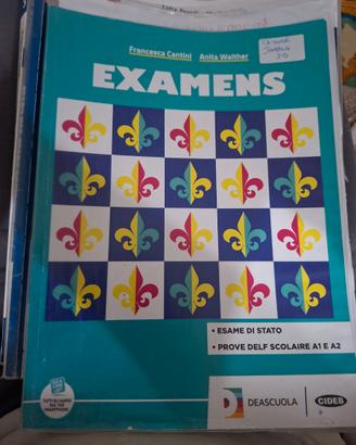 Libro Francese EXAMENS – DELF A1 e Terza Media – D