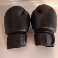 Guantoni da boxe.