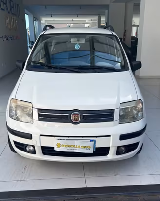 Fiat Panda 1.2 dynamic Natural Power