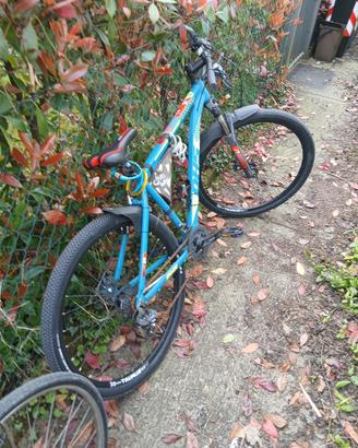 Bici Mountain Bike