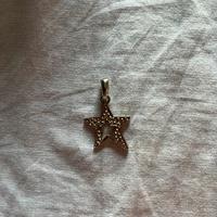 Ciondolo stella brillantinata