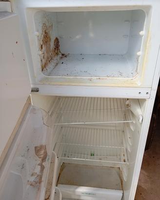 lavastoviglie e frigo da incasso omaggio