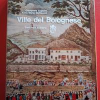 Ville del bolognese