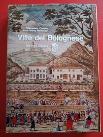 Ville del bolognese