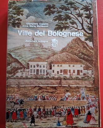 Ville del bolognese