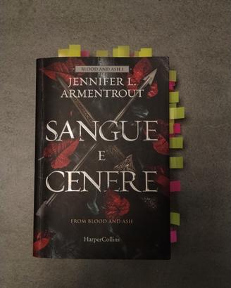 "Sangue e Cenere" volume 1
