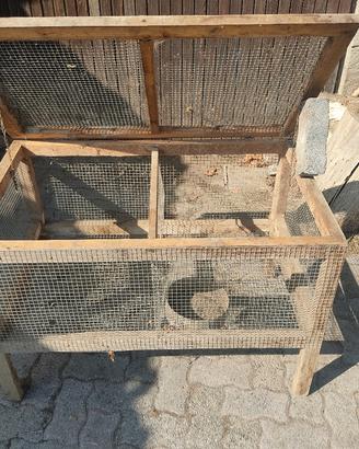 Gabbia legno galline e polli