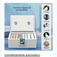 incubatrice uova digitale
