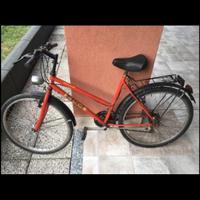 BICICLETTA MTB MOUNTAIN BIKE RAGAZZA DONNA UOMO