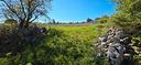 terreno-a-5-km-da-altamura-ba003758