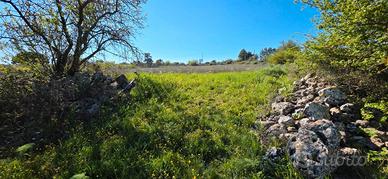 Terreno a 5 km da altamura BA003758