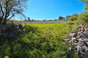 Terreno a 5 km da altamura BA003758