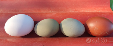 Materiale ornamentale