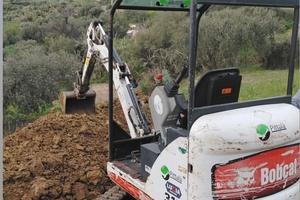 Bob Cat 319