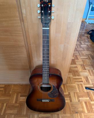 Chitarra Acoustica