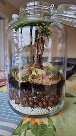 Ecosystem terrarium