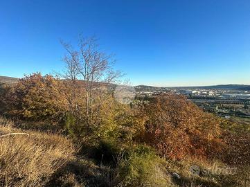 TER. AGRICOLO A AFFI