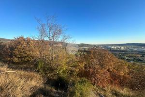 TER. AGRICOLO A AFFI