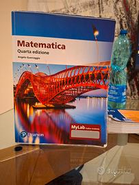libro matematica guerraggio