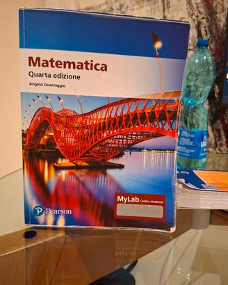 libro matematica guerraggio