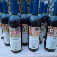 Cabernet Franc annata 1989