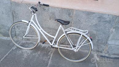 Olandesina 26 pronta all'uso 