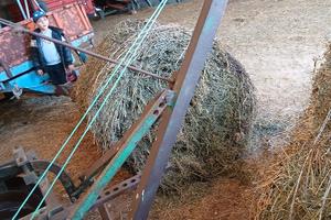 frangizolle 20 dischi 