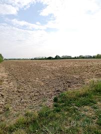 Terreno agricolo