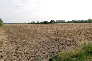 Terreno agricolo