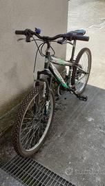 MTB 24