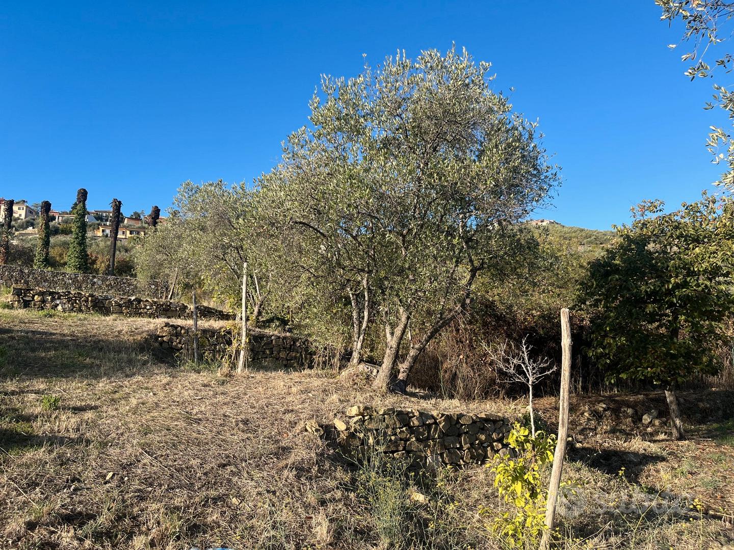 Terreno con progetto approvato Villa Unifamiliare - Altro