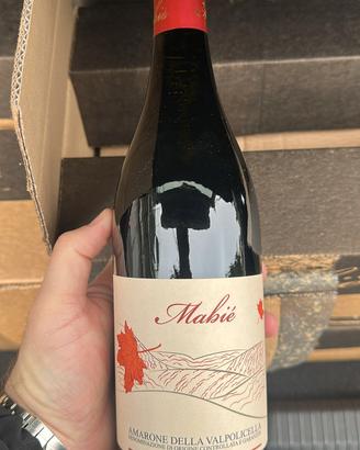 1  bottiglia di Amarone della Valpolicella 2019