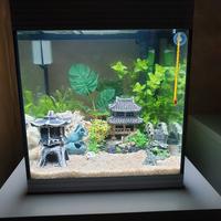 acquario Askoll pure m