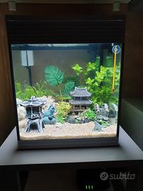 acquario Askoll pure m