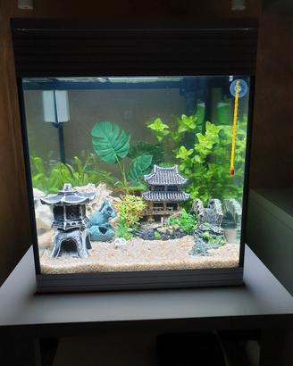 acquario Askoll pure m