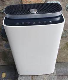Purificatore D'aria con raffrescatore