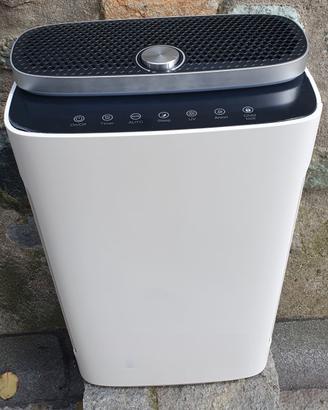 Purificatore D'aria con raffrescatore
