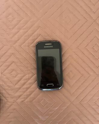 Samsung GT-S6310N