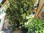 Immagine 15