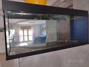 Vasca acquario  250l 40x 120 e 55h